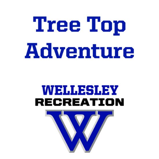 Picture of Tree Top Adventure Registration